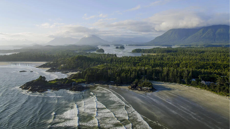 Tofino